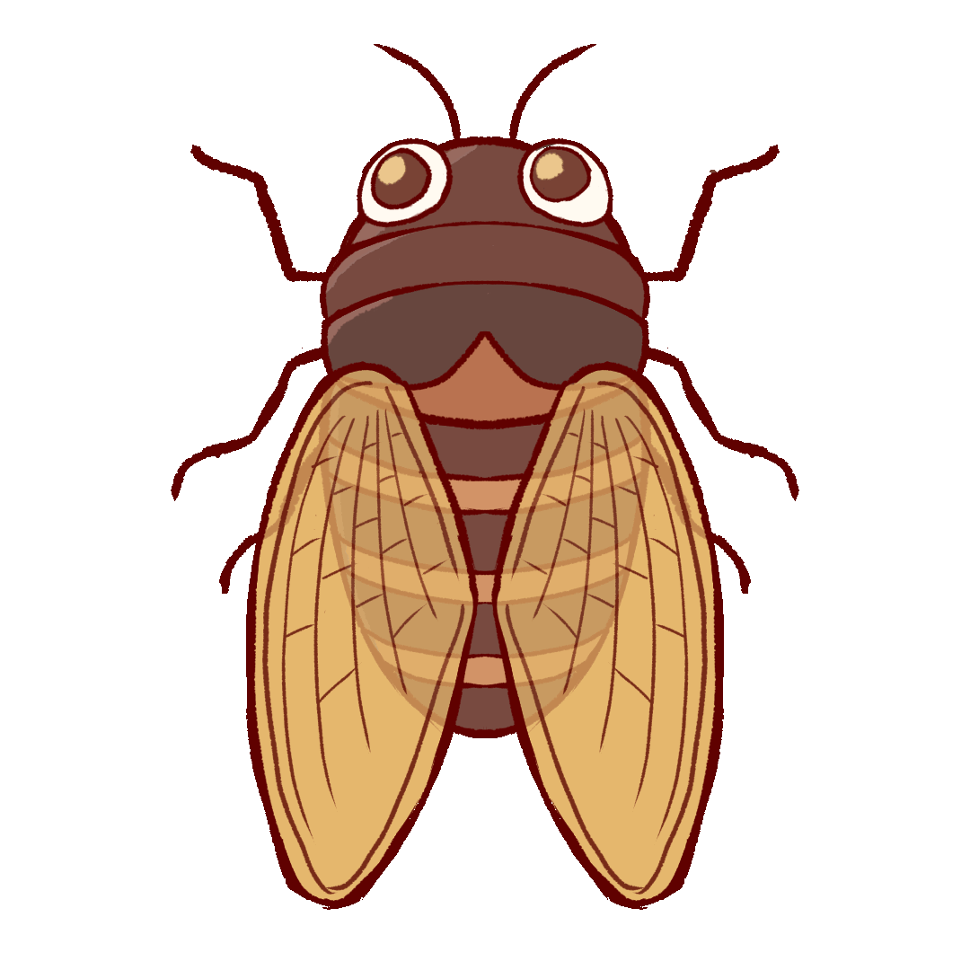 Animated Illustration Of A Cicada UGOKAWA
